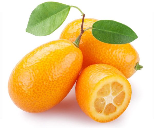 kumkuat